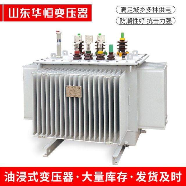 S13-10000/35尼木尼木尼木电力变压器